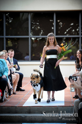 Best Winter Park Civic Center Wedding photographer - Sandra Johnson (SJFoto.com)